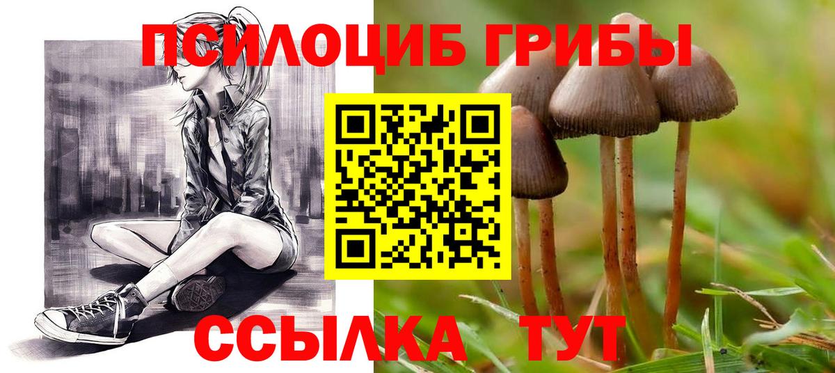 Краснокамск  Галлюциногенные грибы мухоморы  Вход с VPN  продажа наркотиков  Псилоцибиновые грибы Cubensis 